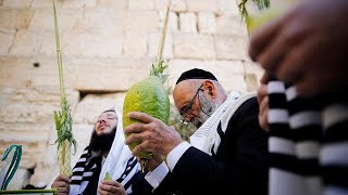 Israel Juden feiern das Laubhüttenfest [upl. by Christel]