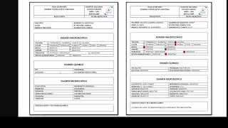 EL EXAMEN COPROLOGICO FUNCIONAL COMO ERRAMIENTA DIAGNOSTICA [upl. by Rednaxela]