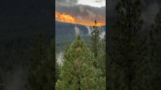 You can stay in a fire lookout tower calpinelookout laketahoe uniquestay nature camping cali [upl. by Idleman]