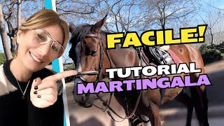 COME METTERE LA MARTINGALA AL CAVALLO equitazione [upl. by Gamin]