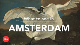 12 Artworks to see in Amsterdams Museum District I Behind the Masterpiece [upl. by Septima234]