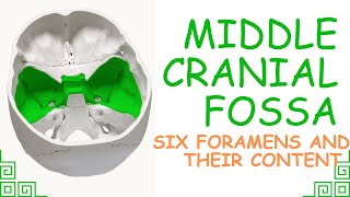 ANATOMY OF MIDDLE CRANIAL FOSSA ALL FORAMEN WITH CONTENTS [upl. by Onofredo984]