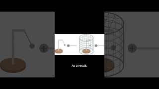 How does faraday cage works [upl. by Roddie926]