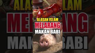 AWASSS BAHAYA Alasan Islam Melarang makan Babi [upl. by Otsenre139]