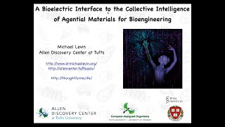 A Bioelectric Interface to the Collective Intelligence of Agential Materials for Bioengineering [upl. by Stclair]