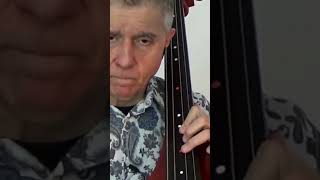 Gestire i CAMBI di POSIZIONE sul contrabbasso contrabbasso doublebass [upl. by Anaylil]