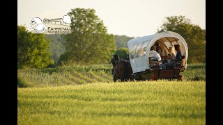 Wanderfahren  unterwegs mit Pferd und Wagen [upl. by Aidin]