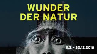 WUNDER DER NATUR  im Gasometer Oberhausen bis 30 Dezember 2016 [upl. by Malcah]