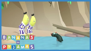 Wheres the camera  Bananas in Pyjamas Official [upl. by Enatan]