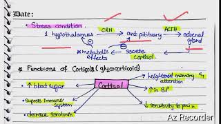 Cortical Hormones  Aldosterone  cortison  hyper and hypoaldosteronism [upl. by Hsakiv]