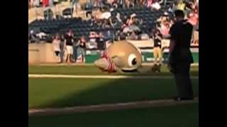 ZOOperstar eats an umpire at DaytonWest Michigan Game [upl. by Loree]