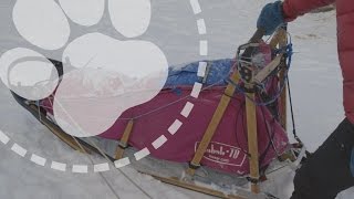 Mushing Explained Designing the perfect dog sled [upl. by Seldun]