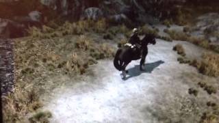 Skyrim Farkas bug [upl. by Llerreg]