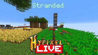 Hypixel skyblock stranded [upl. by Fougere]