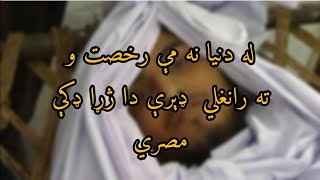 Pashto jihadi nazam  pashto new nazam 2021  Der da jara daky misrey  la dunya na mi rokhasat wo [upl. by Trow670]