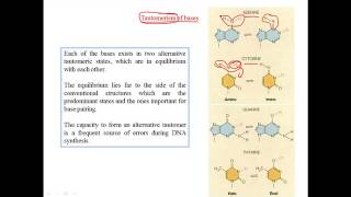 Tautomerization of bases [upl. by Yarvis]