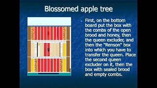 Rensons method of beekeeping [upl. by Orbadiah958]