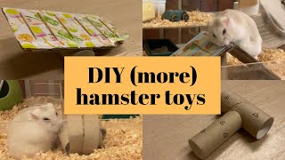 DIY hamster toys using recycled materials more [upl. by Lentha388]