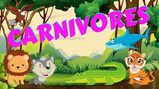 Learn Animal Names And Their Food I What Animals Eat amp Facts I Herbivore Carnivore Omnivore Animals [upl. by Nivlag]