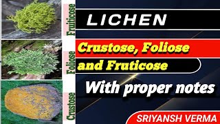 Lichen crustose Foliose and Fruticosehow to draw in practical file in bsc1yearbsc lichen [upl. by Skipper]