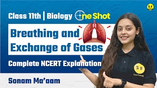 Breathing and Exchange of Gases One Shot  Class 11th Biology NCERT Explanation  By Sonam Maam [upl. by Schoof]