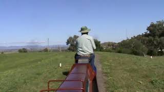 Tamworth Miniature Railway [upl. by Wonacott]