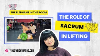 The White Elephant in Olympic Weightlifting  the role of sacrum in lifting [upl. by Ellirpa528]