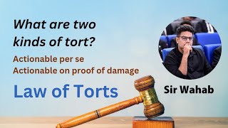 Kinds of Torts  Actionable per se and Actionable on proof of damage  Law of Torts [upl. by Adnoloy576]