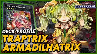 TRAPTRIX  CAINDO NO BURACO ARMADILHA NO MASTER DUEL  PROFILE E COMBOS [upl. by Ube120]