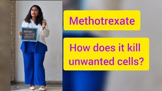 How does methotrexate kill unwanted cells or ectopic pregnancy [upl. by Ress406]