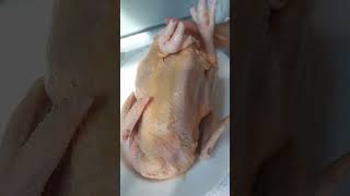 marinating chicken chickenrecipe youtubeshorts shorts [upl. by Annaxor643]