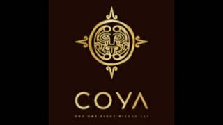 Peruvian Paradise by COYA Mayfair [upl. by Alekram]