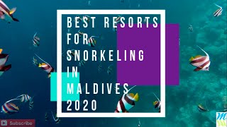 Best Resorts for Snorkeling in Maldives [upl. by Gazzo937]