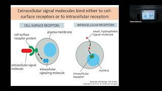 Intracellular SignallingCell surface Receptors [upl. by Eirovi976]