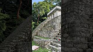 Bonampak chiapas travel mexico [upl. by Charters]