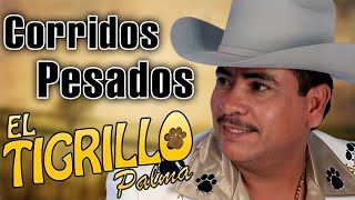 El Tigrillo Palma  Corridos Pesados  30 Exitos [upl. by Nomled773]