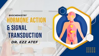 Biochemistry  Endocrine  Hormone action amp Signal transduction [upl. by Kissner398]