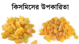 কিসমিসের উপকারিতা  Kismis er Upokarita  Benefits of Raisin  Important Tips ft Amader Rannaghor [upl. by Witcher242]