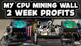 My CPU Mining Profit Update [upl. by Halsey684]