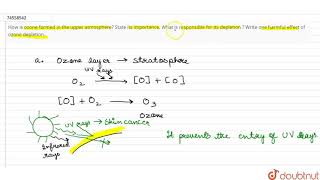 How is ozone formed in the upper atmosphere State its importance What is responsible for it [upl. by Jerrylee]