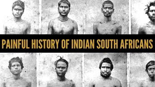 Indian South Africans The painful story of indentured labourers  African Biographics [upl. by Spearman25]