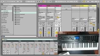 Ableton Preferences  Link MIDI [upl. by Ainitsirk776]