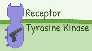 Receptor Tyrosine Kinase  MAPK Pathway [upl. by Nicholson871]