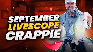 September Livescope Crappie [upl. by Nedrud]