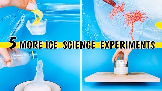 Ice Science Experiments for kids to do at home [upl. by Sokim]