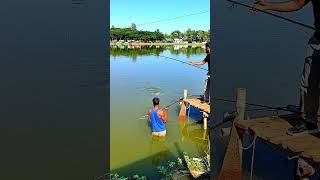 amazing fish catching viral video shorts [upl. by Aiekal]