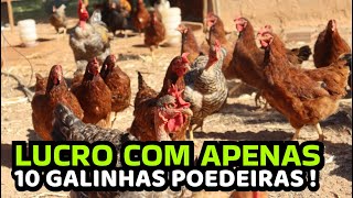 Como GANHAR DINHEIRO com POUCAS GALINHAS 🐓  AGROCRIACAO [upl. by Nosille62]