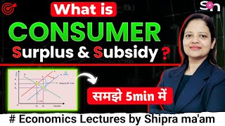 Effect Of Subsidy On Consumer Surplus  Microeconomics  Shipranomics [upl. by Llertak]