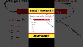 Trick to remember drugs metabolized by Acetylation ytshorts [upl. by Tsirhc]