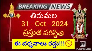 tirumala 31 october 2024 present situation sarva darshan  TTD Breaking News darshans cancelled ttd [upl. by Korney700]